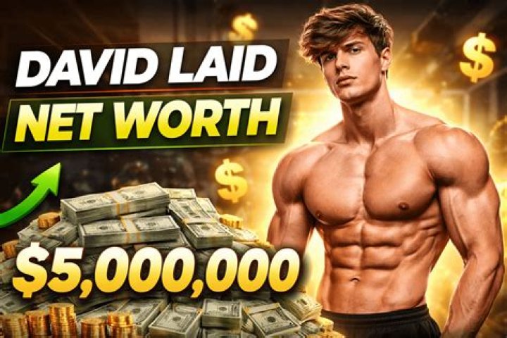 David Laid Net Worth 2024