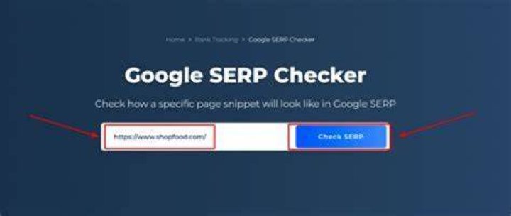 Mastering The Art Of Checking SERP Position