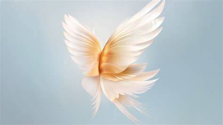 	WINGS AND PRAYER WILL HONOR ‘ANGEL’	